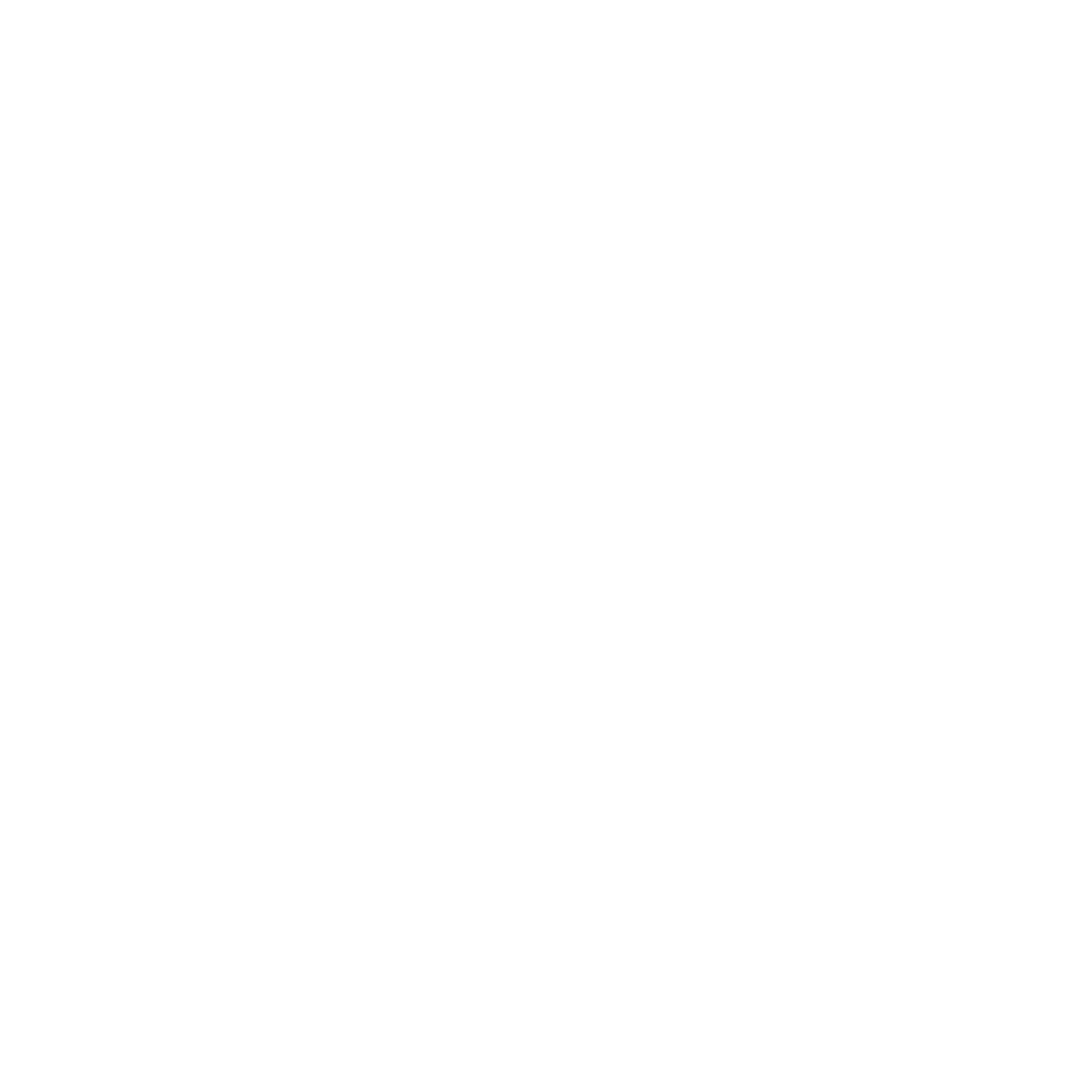 TI Ninja