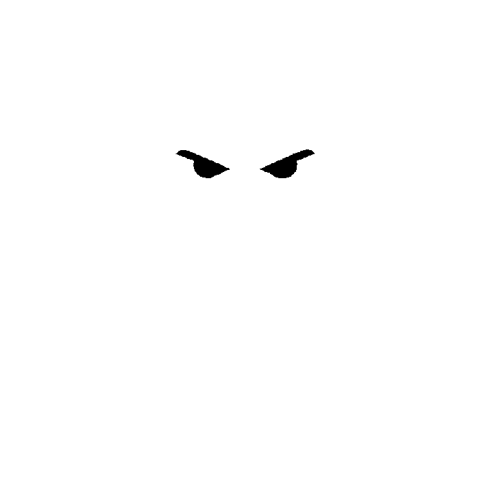 TI Ninja